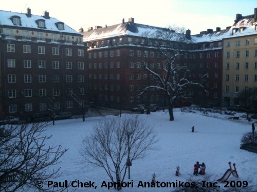 Stockholm morning light