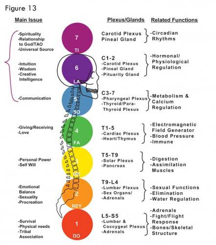 Fig 13 Chakra Correspondence