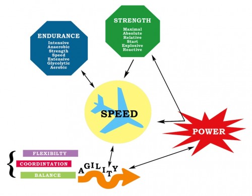 BIOMOTOR CO DEPENDENCE